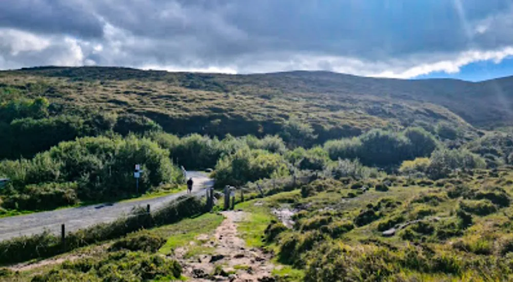 Kerry Camino Walk from Tralee to Dingle