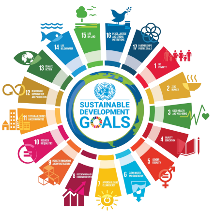 UN Sustainability Goals Logo