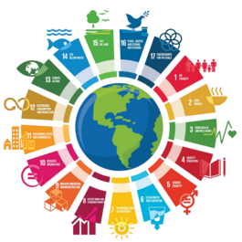 UN Goals
