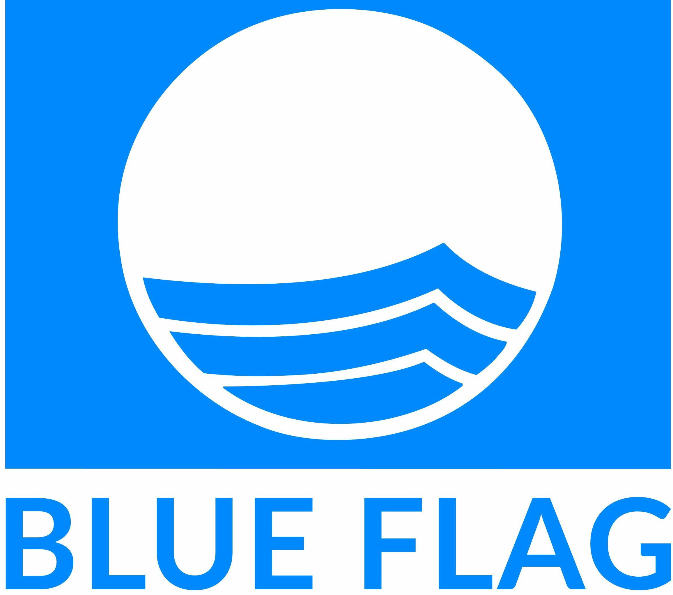 blue_flag_cmyk_texts (1)